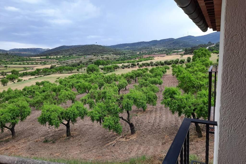 Ca Joan A Villores, Els Ports Holiday home Villores